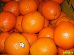 ������ɽ��������ֱ��3����۸���2.5���