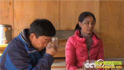 [�¸���]��ɽ���������� ��δ�������Ԫ������ 20190311