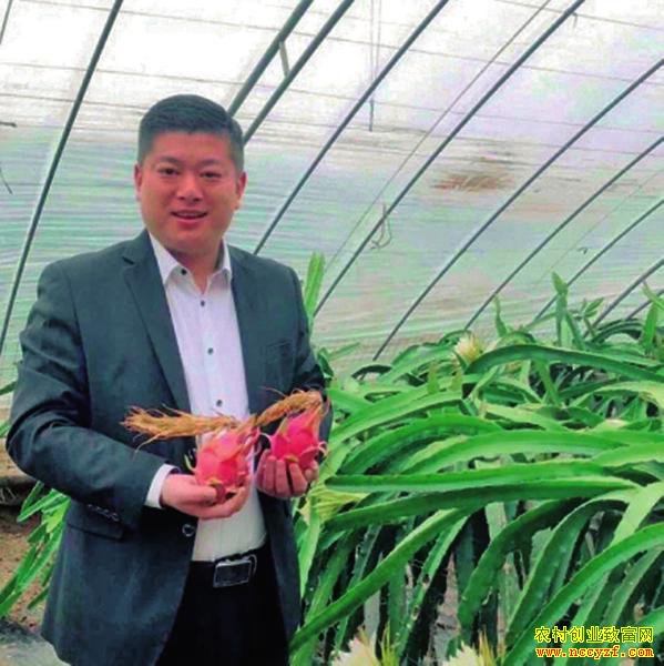 �������Ĳ��ö���Ƶ�����������ۻ�������