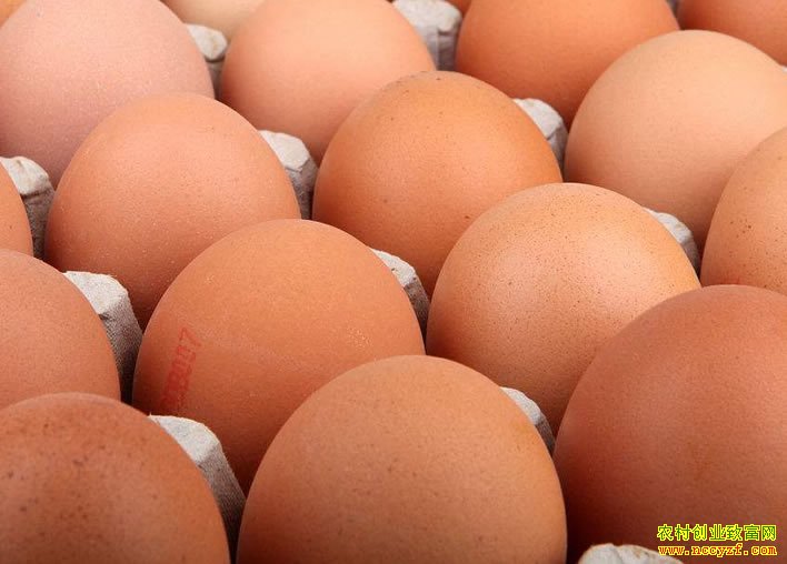 鸡蛋价格为何涨涨跌跌不稳定?听听鸡蛋贸易商怎么说