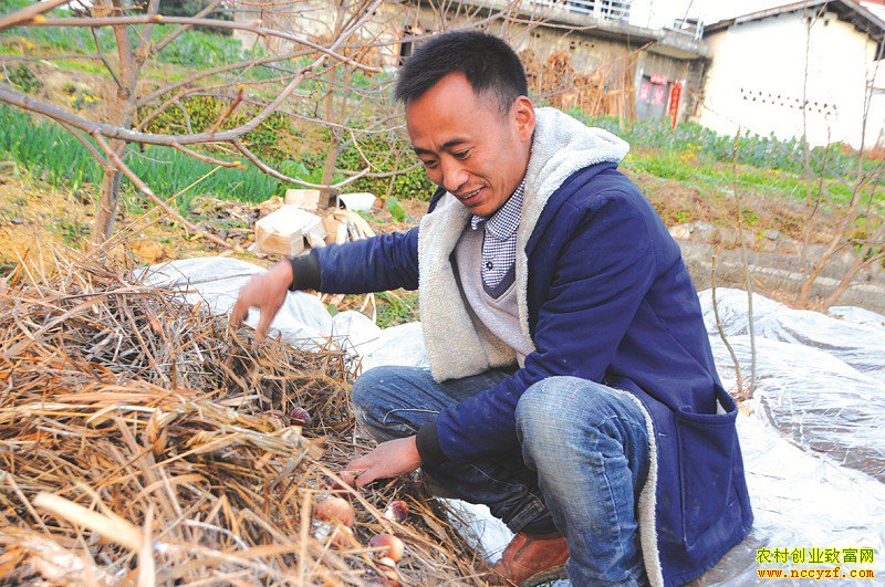 ������ڲ鿴��칽