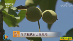 [ũ�����]��ʵ����ʡ������ֲ������Ƶ