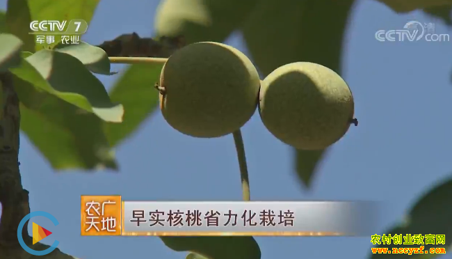 [ũ�����]��ʵ����ʡ�������༼����Ƶ 20190313