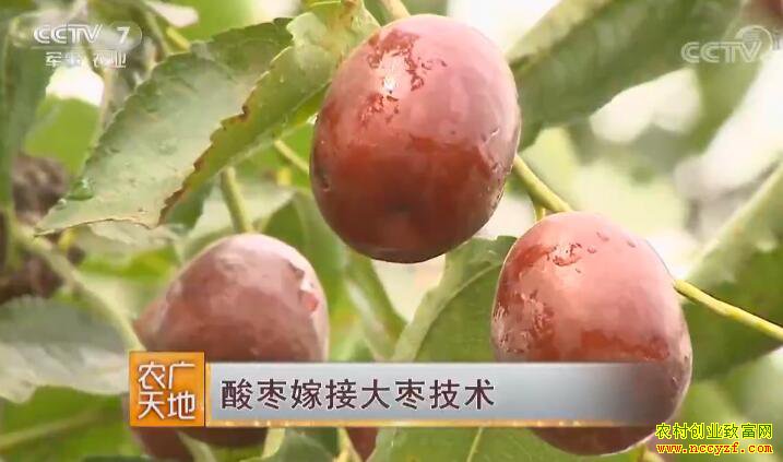 [ũ�����]�����޽�����������޽Ӵ��漼����Ƶ