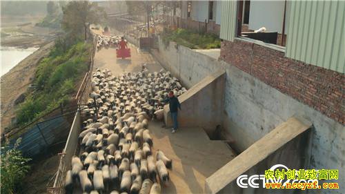 [�¸���]һ��ϰ�� ����ǧ�� ���òƸ���ɽ�� 20190314 