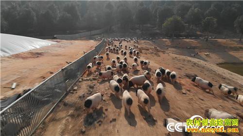 [�¸���]һ��ϰ�� ����ǧ�� ���òƸ���ɽ�� 20190314 