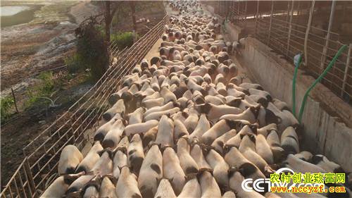 [�¸���]һ��ϰ�� ����ǧ�� ���òƸ���ɽ�� 20190314 