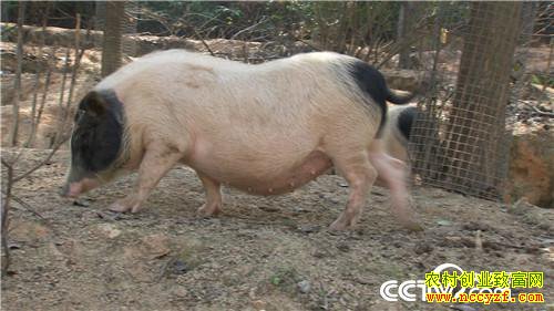 [�¸���]һ��ϰ�� ����ǧ�� ���òƸ���ɽ�� 20190314 