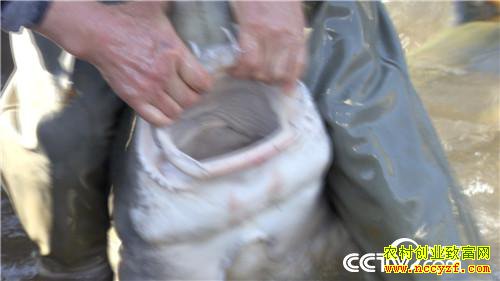 [�¸���]3Сʱ����1000�� ����ͷ��һ�о��ط��� 20190313