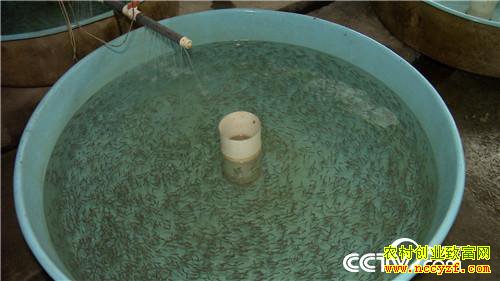 [�¸���]3Сʱ����1000�� ����ͷ��һ�о��ط��� 20190313