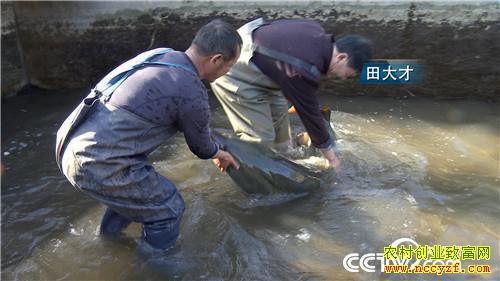 [�¸���]3Сʱ����1000�� ����ͷ��һ�о��ط��� 20190313