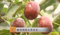 [ũ�����]�����޽�����������޽Ӵ��漼����Ƶ