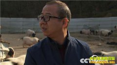 [�¸���]һ��ϰ�� ����ǧ�� �㶫�»᷽�����������Ƹ���ɽ��