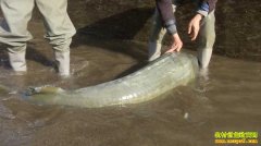 [�¸���]������ʼ��������ֳ���㴴ҵ�¸���Ƶ