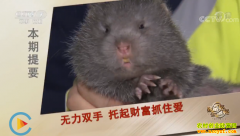 [�¸���]�м��˴�ҵ��ʲô�ã����Ͻ�������ƽ��ֳ������������