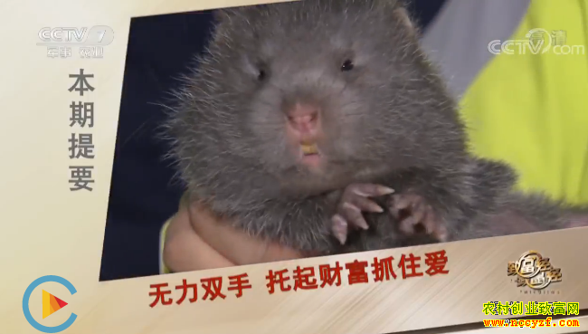 [�¸���]���Ͻ����غ���ƽ����̬��ֳ��������200��Ԫ