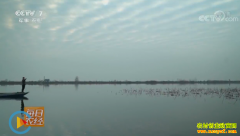 [ÿ��ũ��]����������������������ź