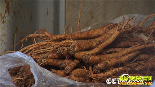 [�¸���]���������������ᡱ�� 20190319 