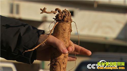 [�¸���]�����������޽�����ֲ���η����ᡱ��������ǧ��Ԫ