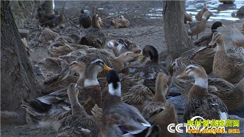 [�¸���]���������������ᡱ�� 20190319 