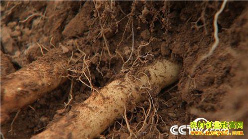 [�¸���]���������������ᡱ�� 20190319 