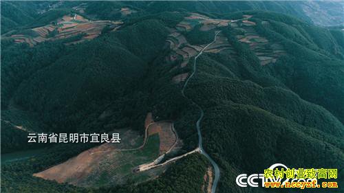 [�¸���]���������������ᡱ�� 20190319 