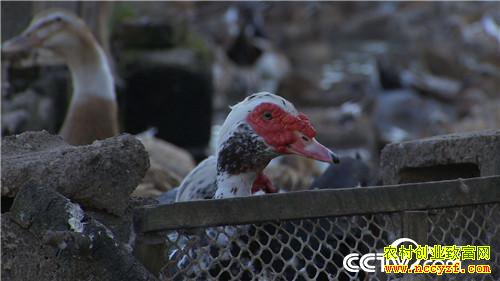 [�¸���]���������������ᡱ�� 20190319 