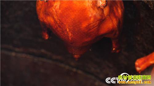 [�¸���]���������������ᡱ�� 20190319 