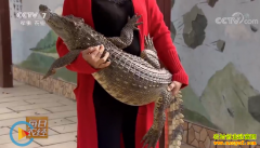 [ÿ��ũ��]�㶫���ݣ�����Ѫɱ�֡���ǮҲ��׬