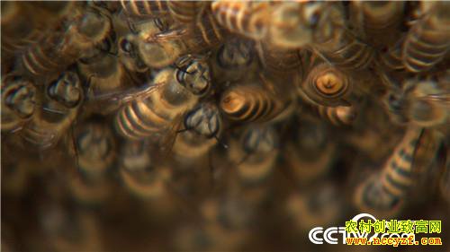 [�¸���]30���ְ��ҵ ɽ��ҡ�������Ƹ� 20190321