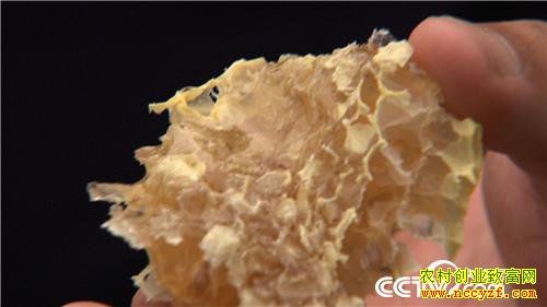 [�¸���]30���ְ��ҵ ɽ��ҡ�������Ƹ� 20190321