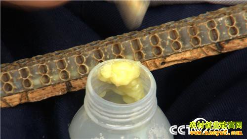 [�¸���]30���ְ��ҵ ɽ��ҡ�������Ƹ� 20190321