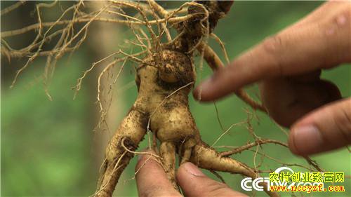 [�¸���]30���ְ��ҵ ɽ��ҡ�������Ƹ� 20190321