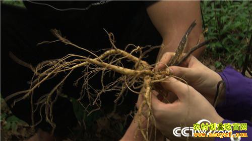 [�¸���]30���ְ��ҵ ɽ��ҡ�������Ƹ� 20190321