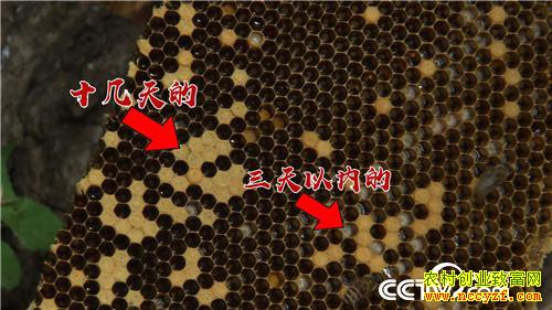 [�¸���]30���ְ��ҵ ɽ��ҡ�������Ƹ� 20190321