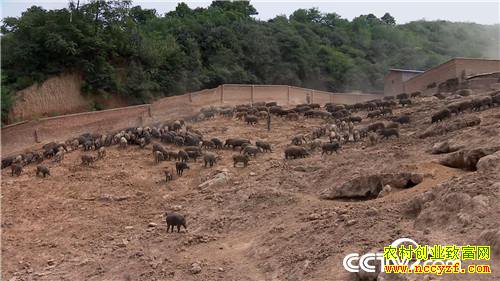 [�¸���]�������� ׬Ǯ�����и��� 20190322 