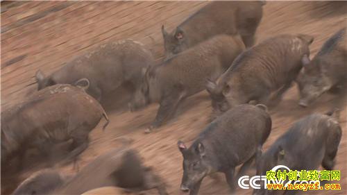 [�¸���]�������� ׬Ǯ�����и��� 20190322 