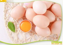 ��������Ů��ʿ�ി��ְ���紴ҵ��ũ��Ʒ��������3000����Ԫ