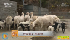 [ũ�����]��������ũ��ϱ���¾����������