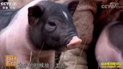 [ÿ��ũ��]�ֹ�ĸ׬Ǯ�Ĺ���½����