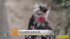 [ũ�����]�����Ϻ�����ɽ������������