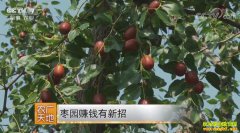 [ũ�����]��־ǿ��԰׬Ǯ������