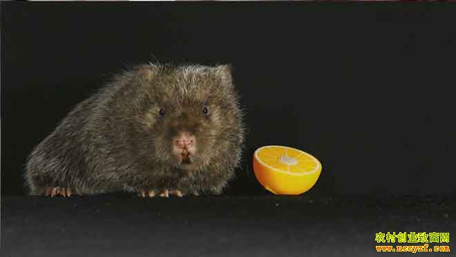 [�¸���]������Դ�ؽ���ܽ�ɽ������׬Ǯ������ 