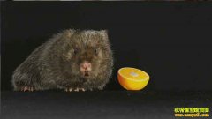 [�¸���]������Դ�ؽ������ֳ����׬Ǯ������