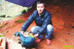 ����ȸ׬Ǯ���Ĵ����ݷ��紴ҵ����Ԫ����ȸһֻ׬500Ԫ