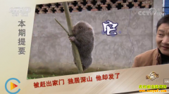 [�¸���]�Ĵ�ƽ�����ѿ�������ɽ�����󷢼��¸�