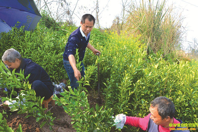 �Ĵ��ڽ���ѧ�������Է��紴ҵ�ָ��ٴ����������¸�·