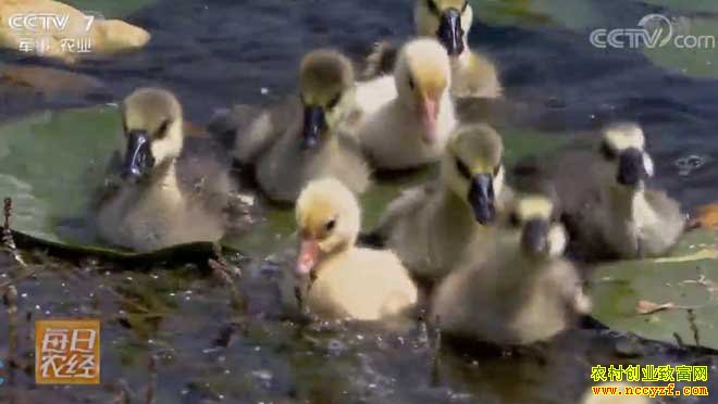 [ÿ��ũ��]���Ӷ����˵������ 20190402