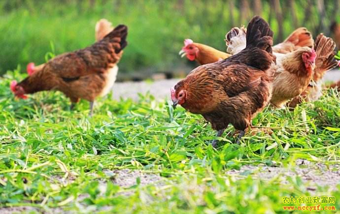 ��̬��������Щģʽ��������Ͼ�����ģʽ