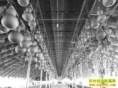 ɽ�����ع�����С��«����������